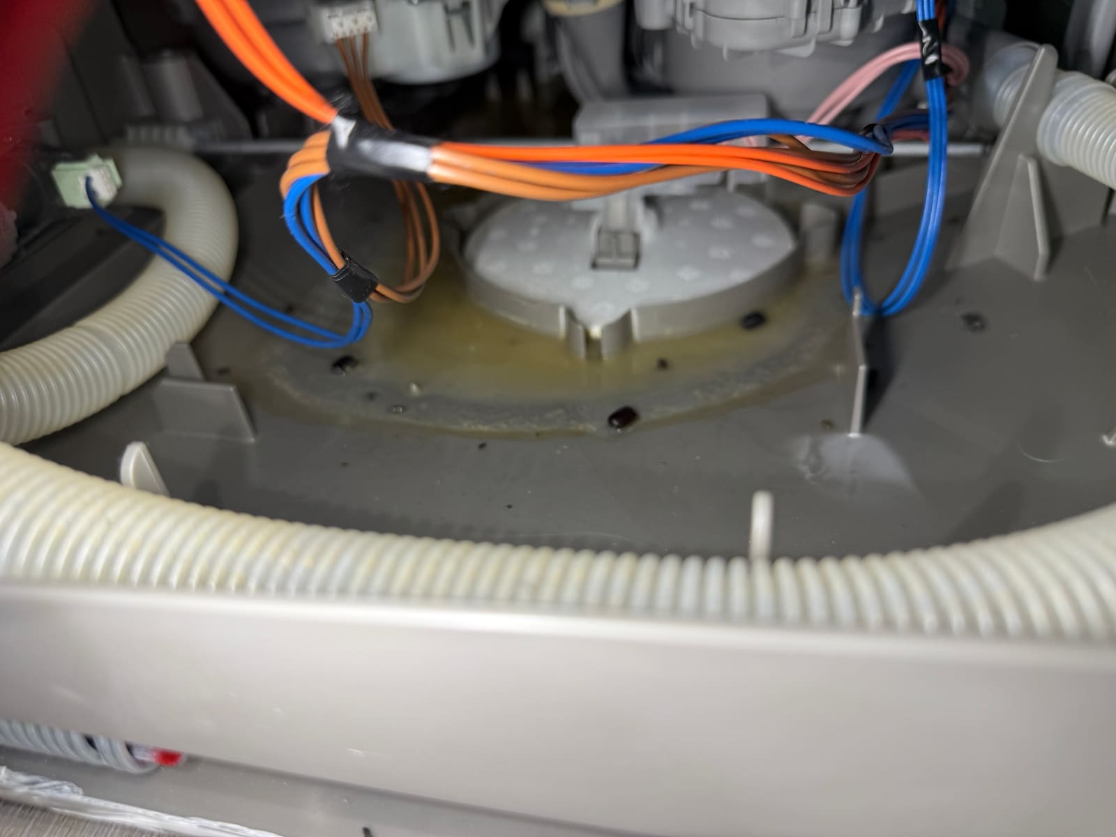 Gel-like water residue sitting near the float switch in the base of the Bosch dishwasher