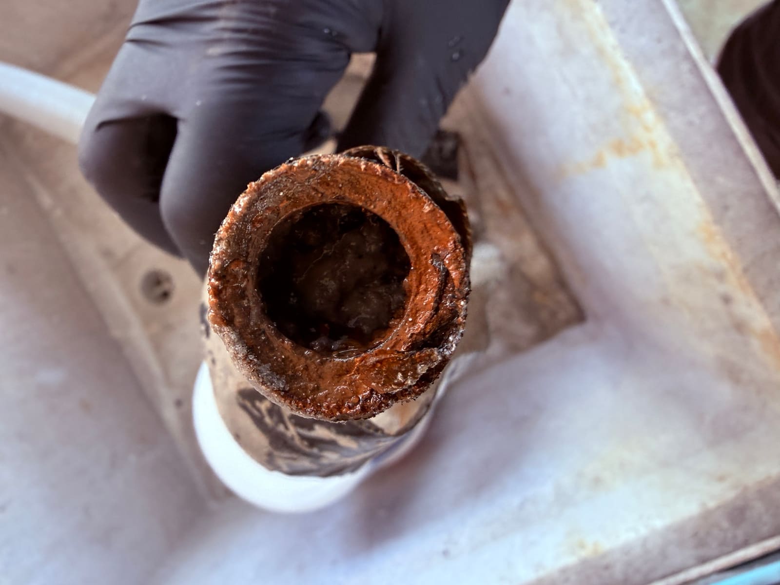 Narrow plastic tube extension removed from inside the drain line, clogged with buildup