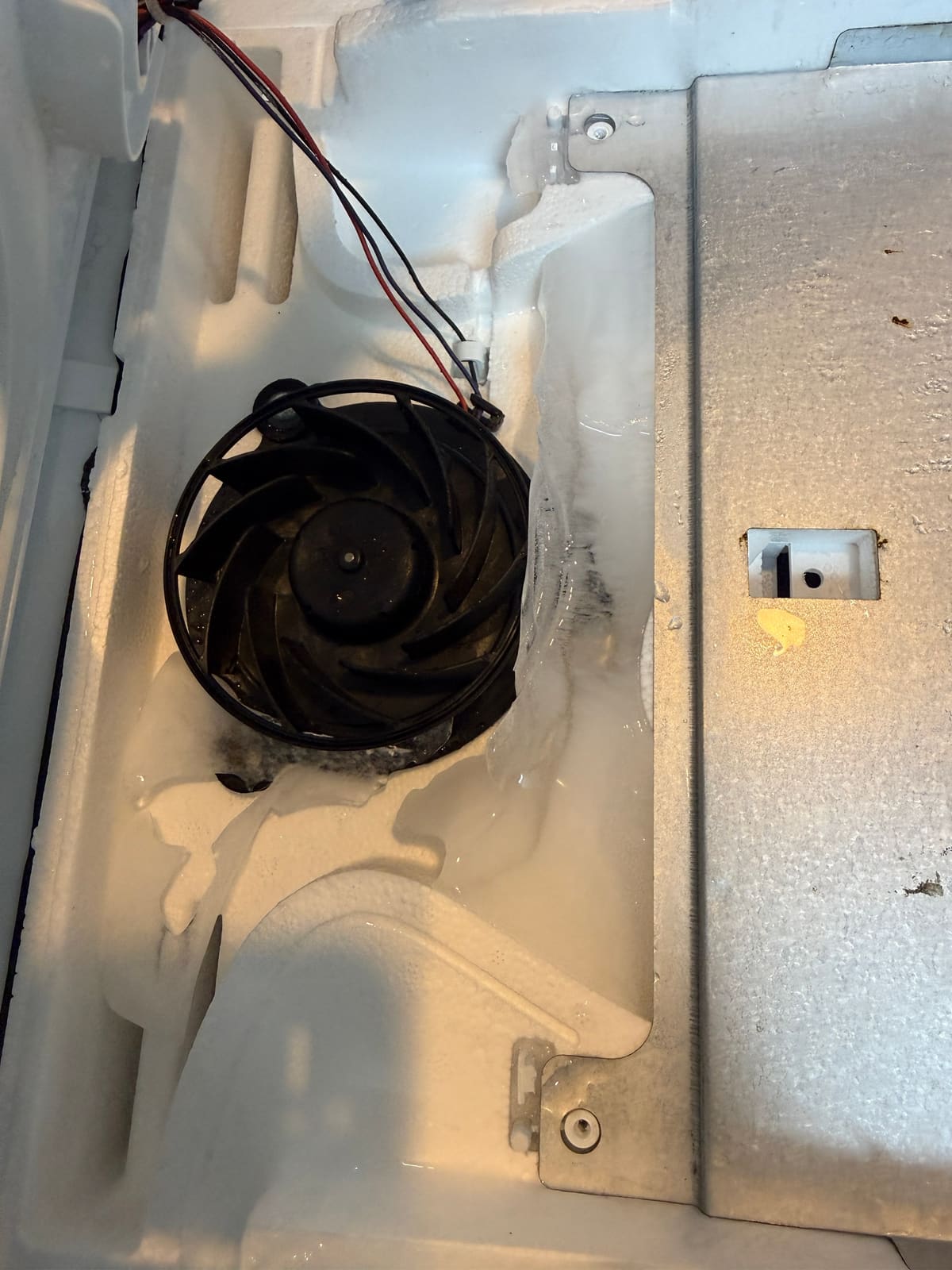 Bosch fresh food section fan frozen solid in a block of ice