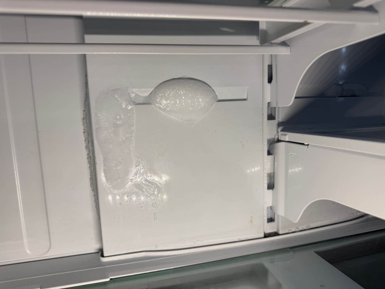 Ice built up through the back panel of the Bosch fresh food section on the first visit