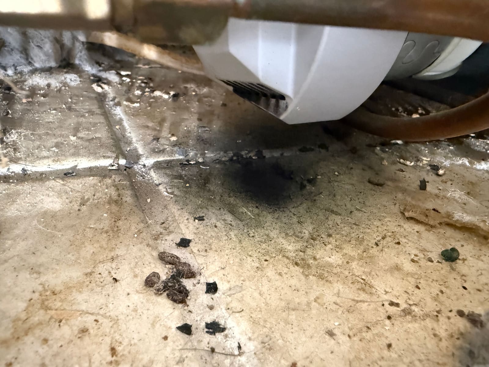 Close-up of the dishwasher base pan with a white pump housing above it and dark staining and debris on the floor of the pan