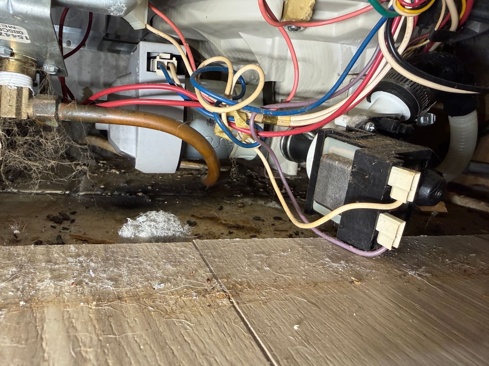 Under a Frigidaire dishwasher: the pumps, wiring and copper water line above a dirty base pan with lint and debris