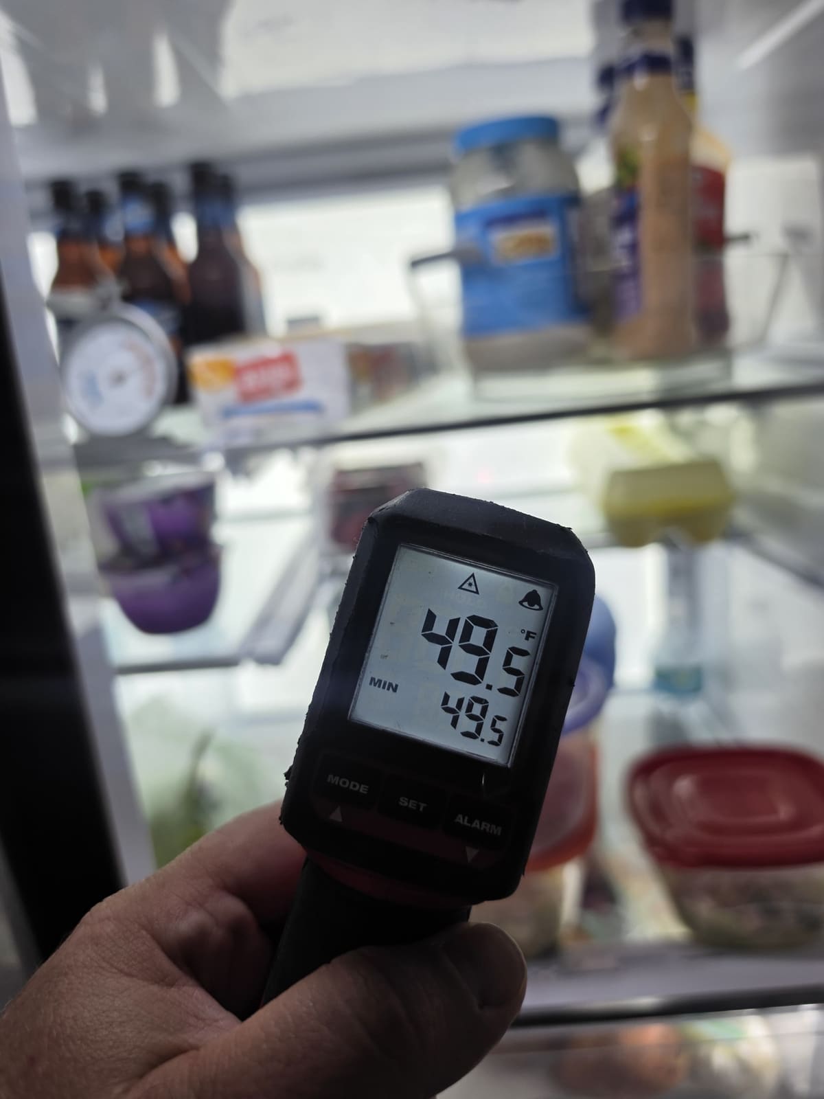 Infrared thermometer reading about 50 degrees Fahrenheit inside the fresh food section of the GE Profile refrigerator