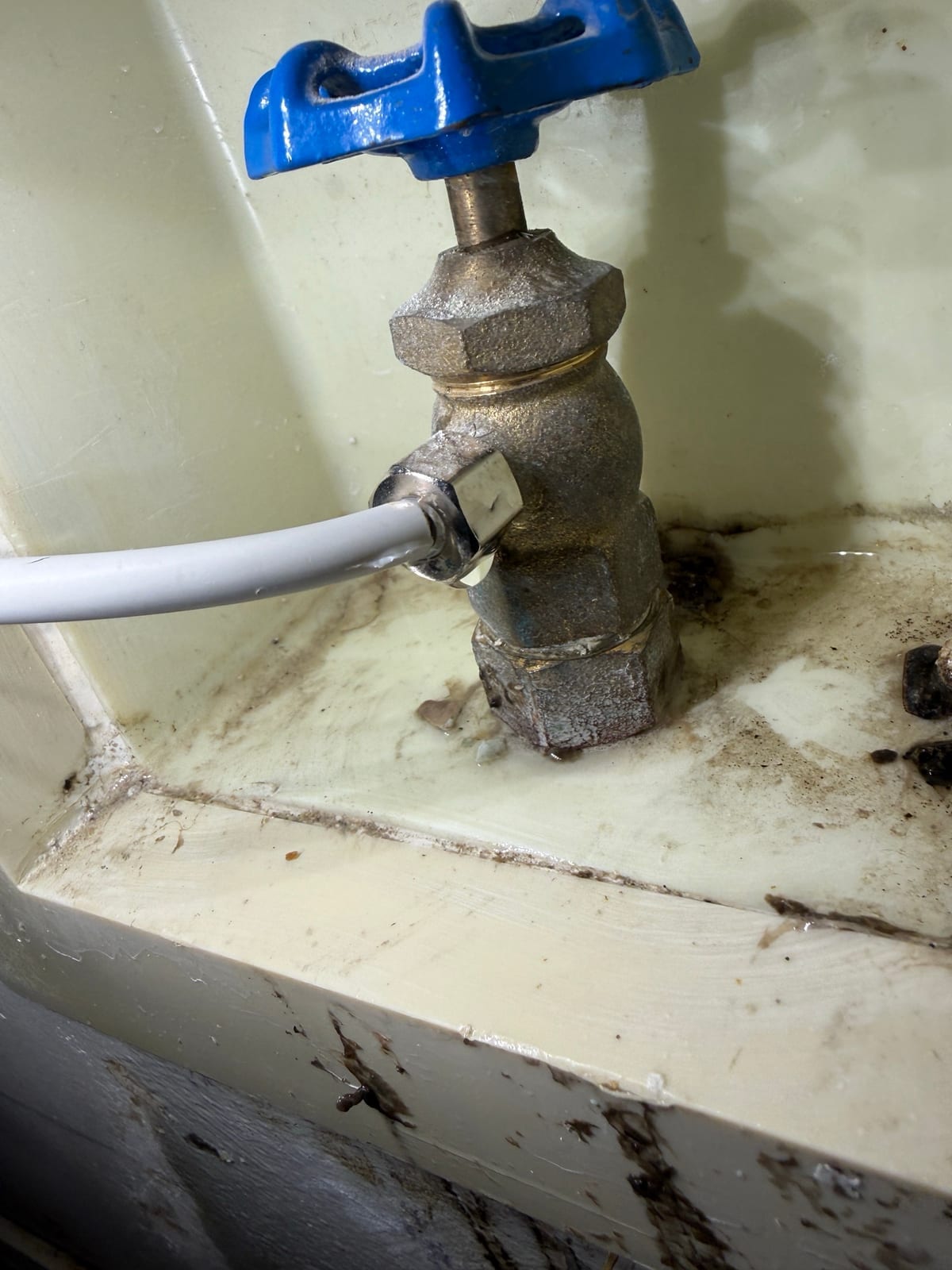 Blue-handled shutoff valve with the white water line to the refrigerator, and water standing in the tray around it
