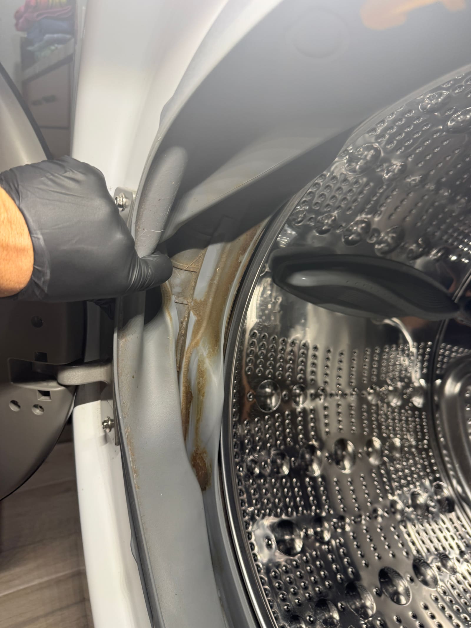 Close-up of the torn door boot on the LG washer