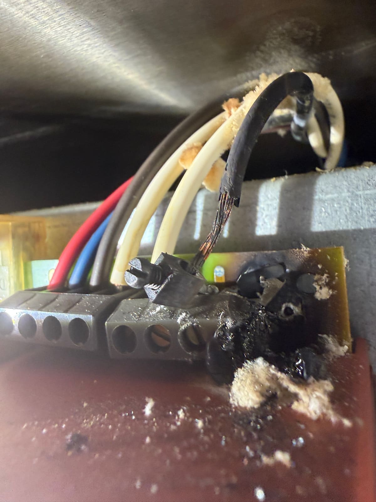 Close-up of the burned wiring terminal on the Thermador hood control board, with melted plastic and a charred wire