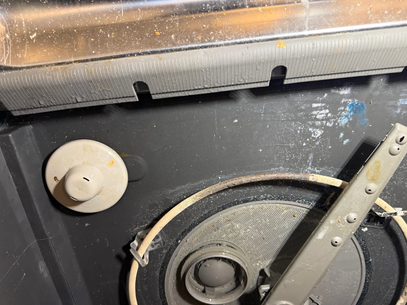 Bottom of the dishwasher tub with the filter, spray arm and heating element, dirty with food debris and staining