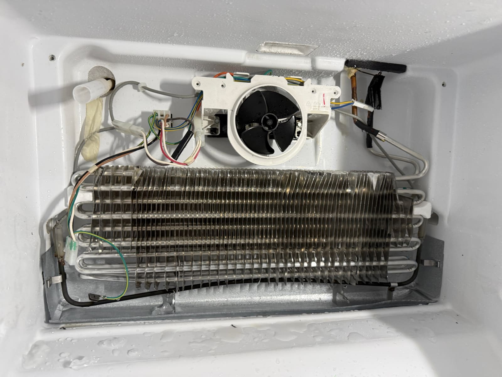 Whirlpool freezer evaporator coil with the ice cleared off, showing the fan and wiring