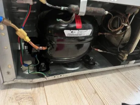 Appliance repair service in Dunedin